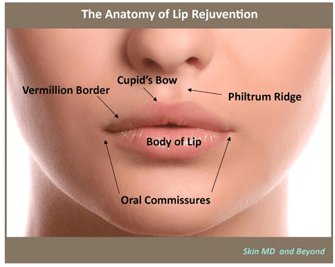 Lip Enhancement Plano TX
